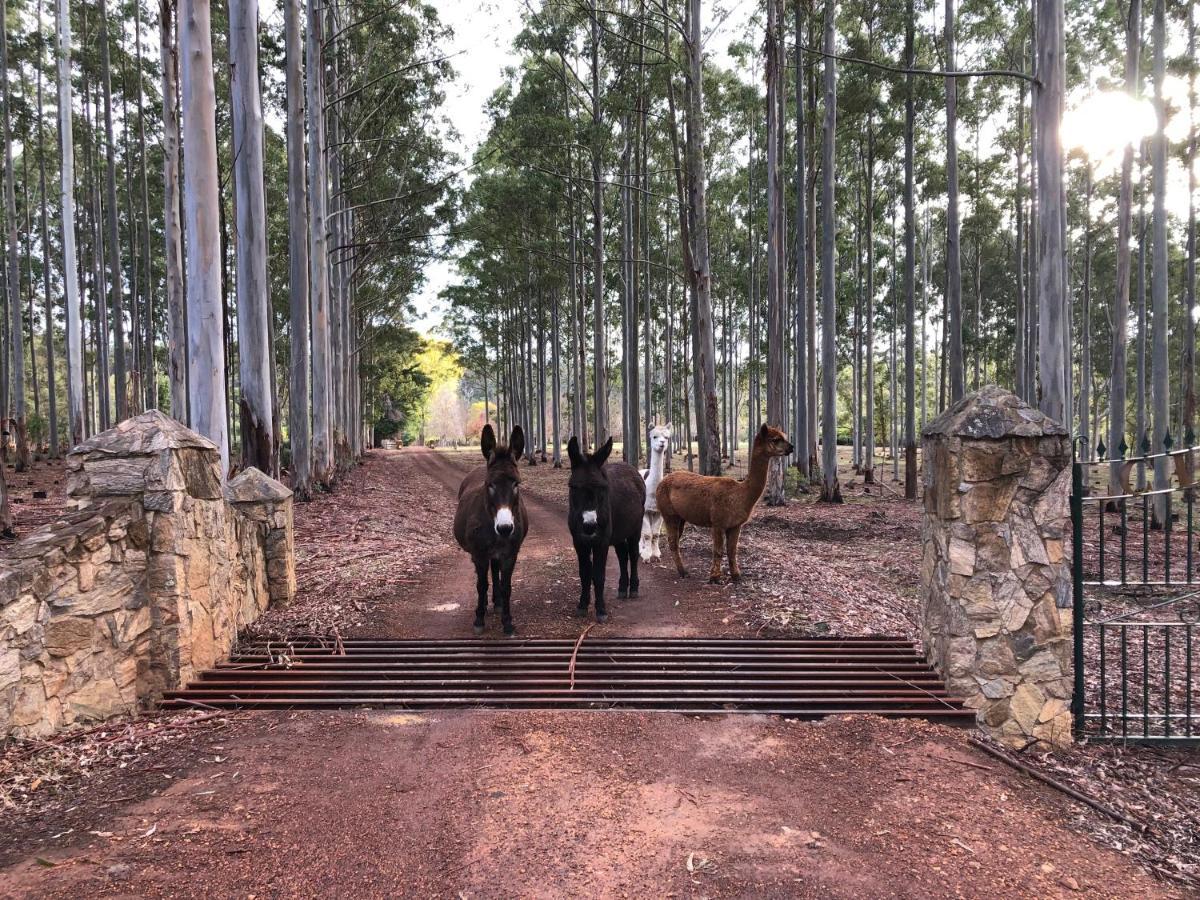 Clover Cottage Country Retreat Manjimup Dış mekan fotoğraf