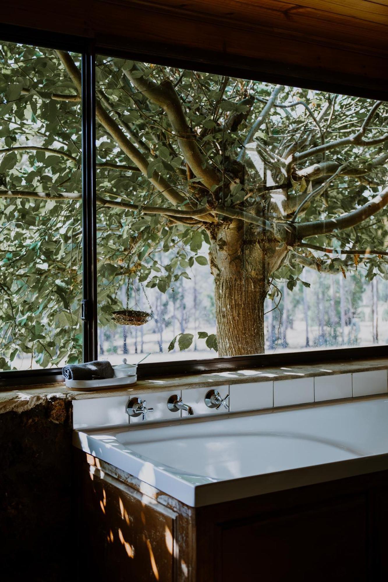 Clover Cottage Country Retreat Manjimup Dış mekan fotoğraf